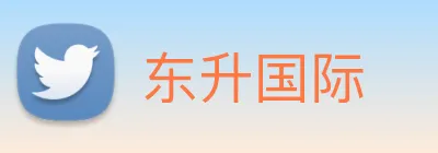 东升国际 Logo